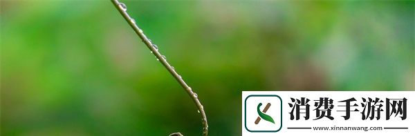 宠溺无边1v3双胞胎