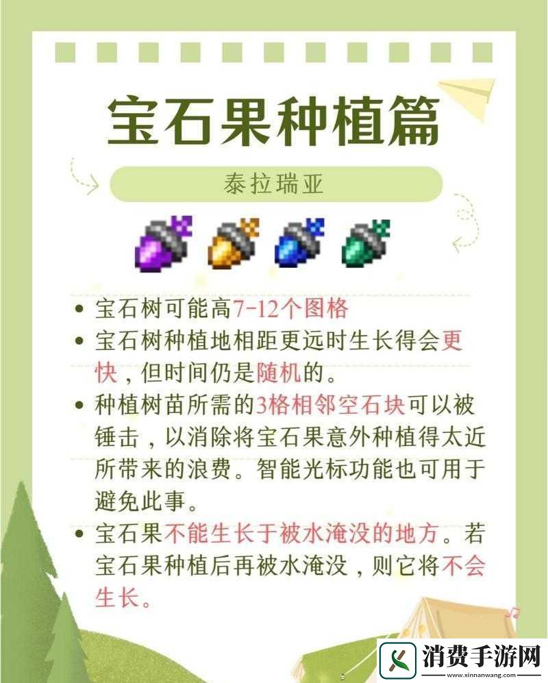 泰拉瑞亚宝石树怎么种