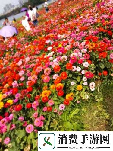 含苞待放周延镇莹莹谜