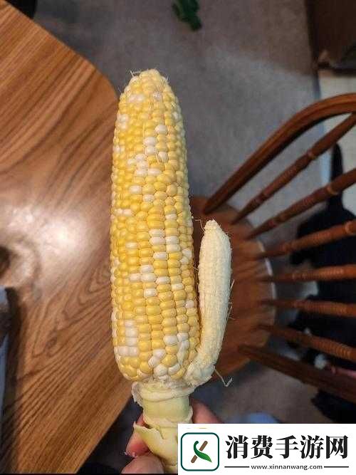 当季水果之茄子、丝瓜、草莓、香草、榴莲大赏