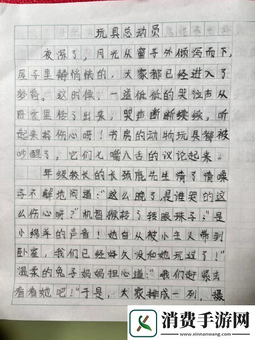 “玩具侠”日记