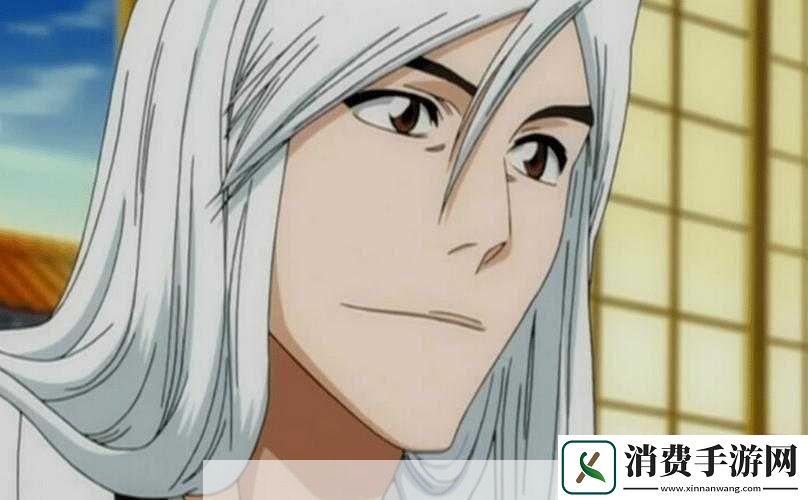 我是死神橙卡浮竹十四郎属性展示