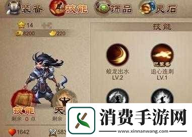 国之刃御龙加点技巧与策略