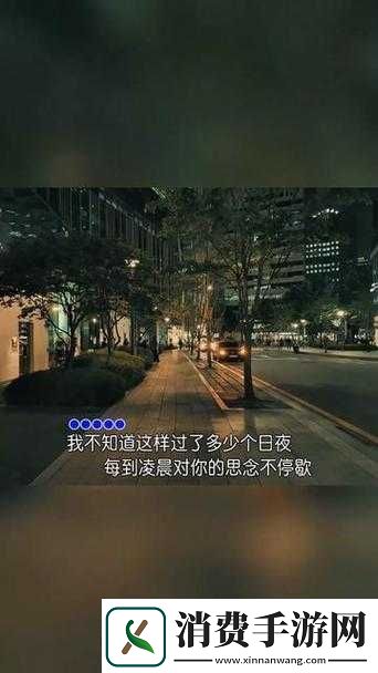 天天想你今夜无人入眠