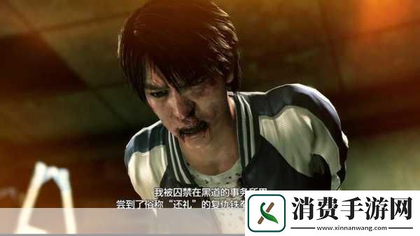 在这个充满未知与挑战的数字世界里