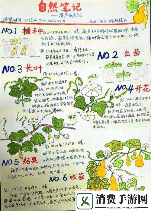 精产国品一二三产区区别手机