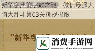 新华字典的字数之谜