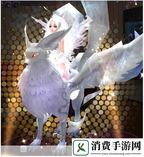 任意噪主题的探索与分析什么是任意噪