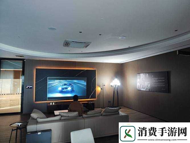 私人家庭影院设备评测与购买建议