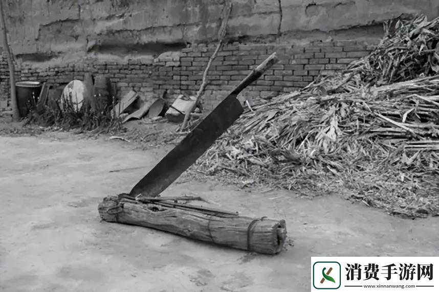 小学六年级小馒头