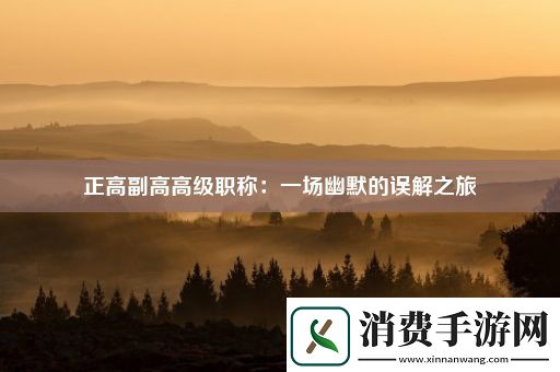 正高副高高级职称