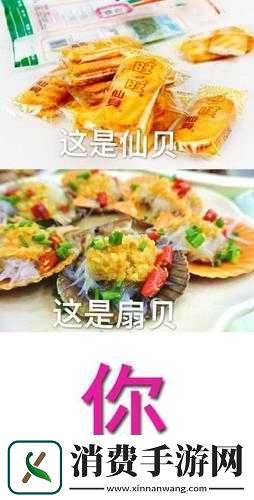 这是我的小扇贝