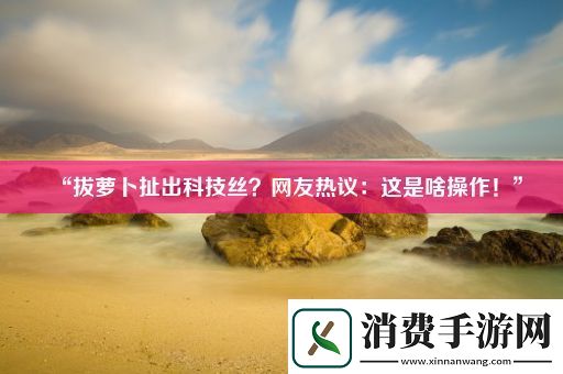 “拔萝卜扯出科技丝