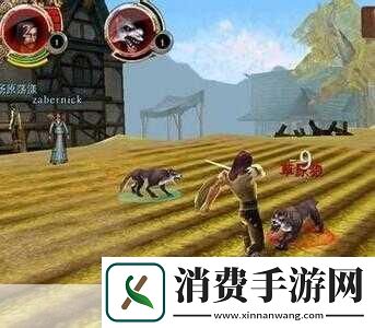 混沌与秩序新手锻造系统指南攻略