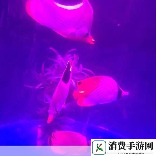 在这个充满无限想象的手游世界里