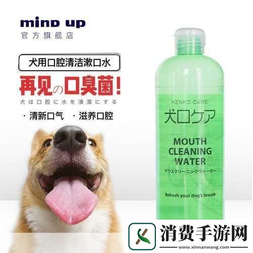 日本MINDUP狗与普通版对比