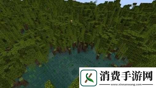 我的世界暮色沼泽详细介绍