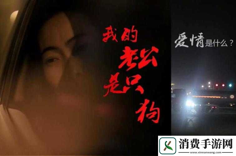 我的老公是条狗白珍丽山本一郎