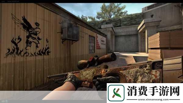 17岁俄罗斯CSGO玩家的竞技表现分析1.