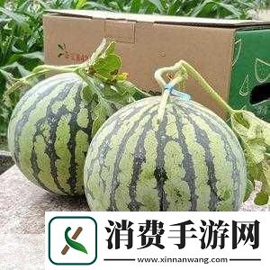 51热门大瓜往期回顾1.