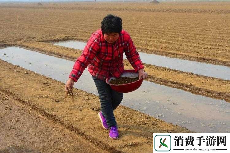 儿子耕种母亲田地寓意