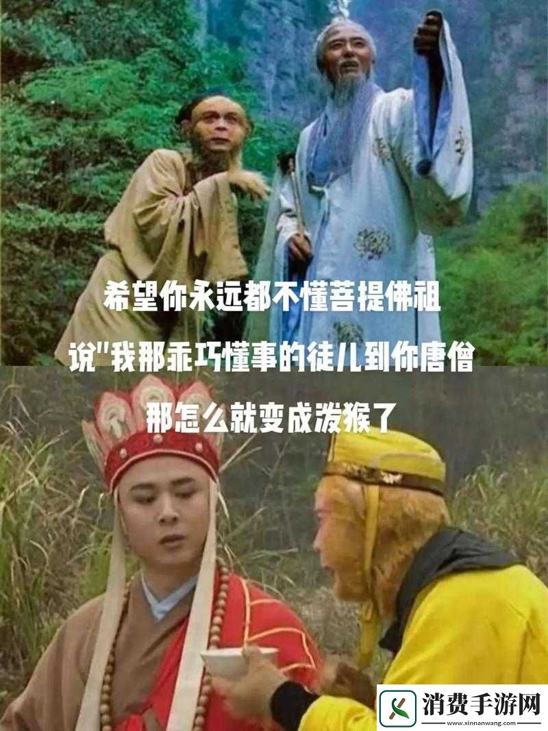 师父不可以限弥弥