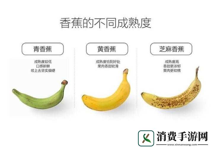国产香蕉与进口香蕉价格大揭秘