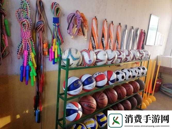 下课后的体育器材室叫什么