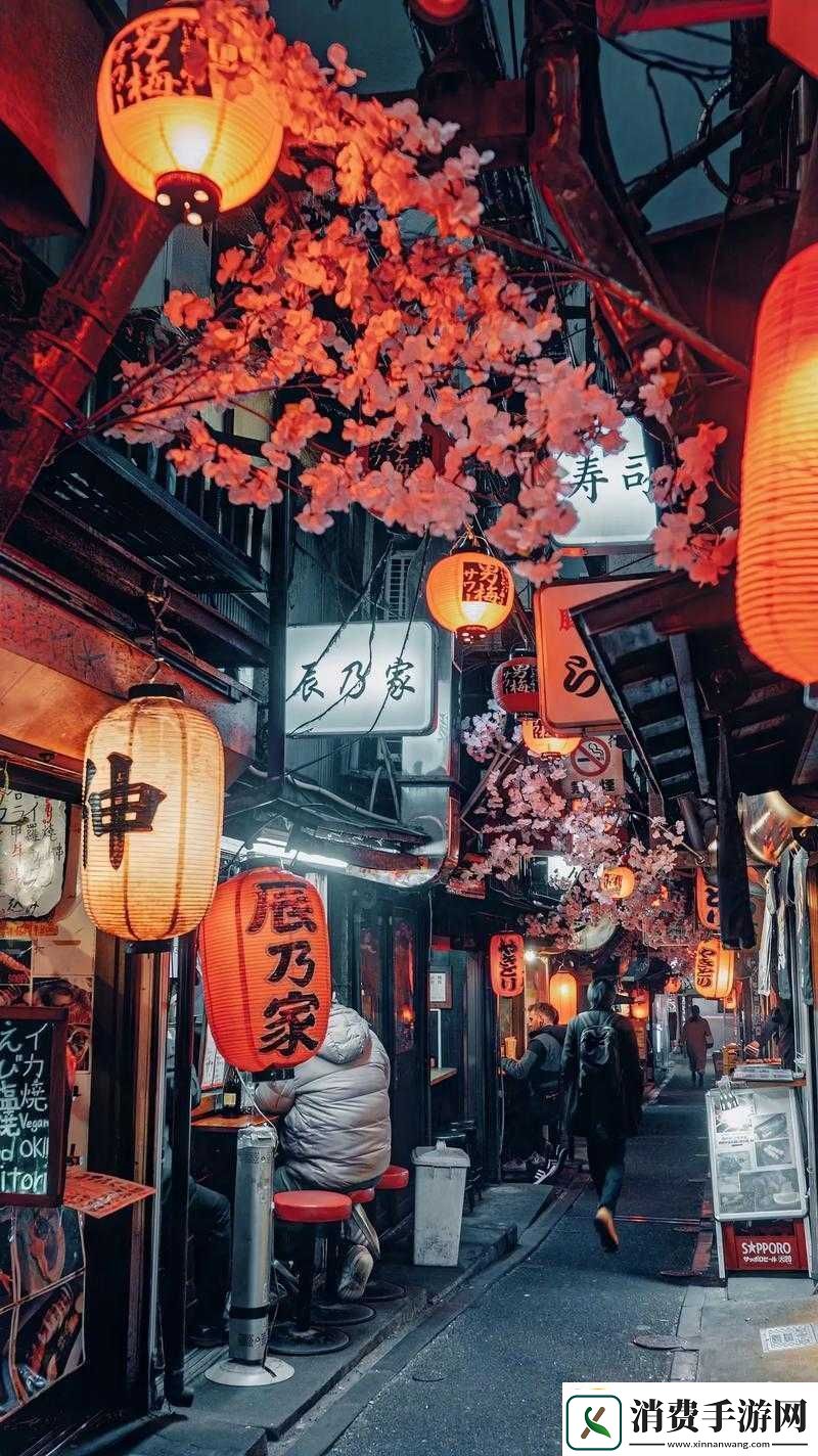 成全站源码入口隐藏通道