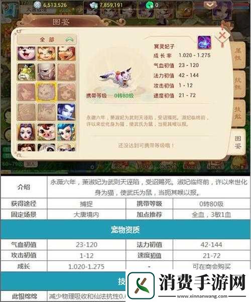 大话西游手游宠物转生后亲密度是否会清零