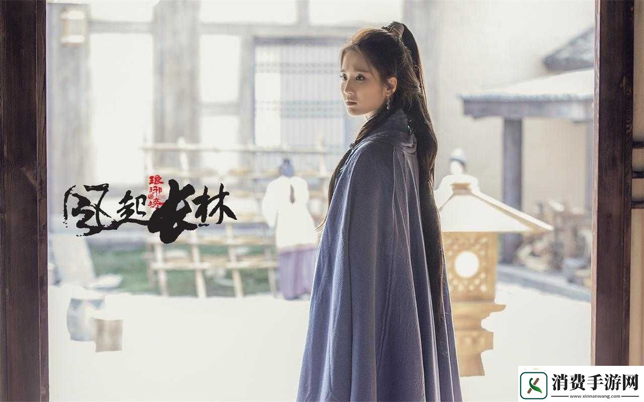 琅琊榜风起长林偃师宝石选力敏于鞋