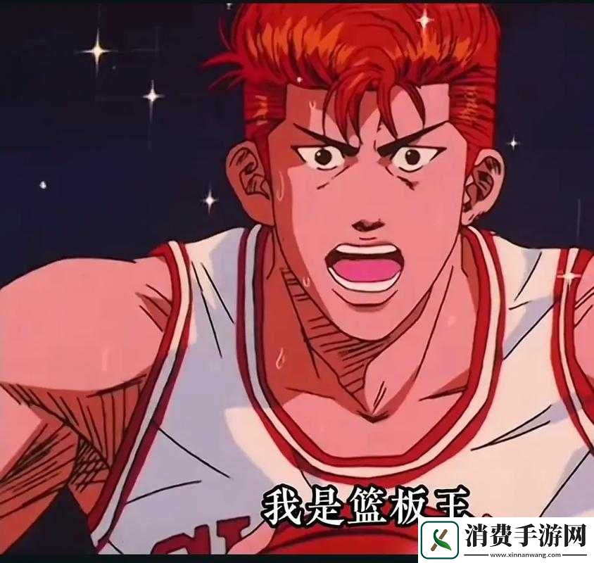 我是篮板王新手入门秘籍第二弹