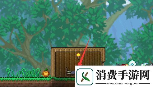 泰拉瑞亚花苞快速生成方法