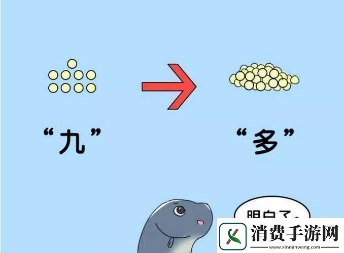 什么是9浅1深左3右3