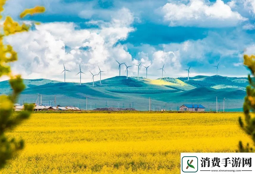 一面膜胸口一面膜下从嘴到胸的完美护肤法则你了解吗