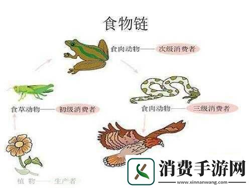 洗手间截了一段小视频食物链