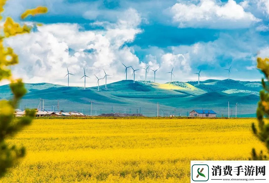 一面膜胸口一面膜下从嘴到胸的完美护肤法则你了解吗