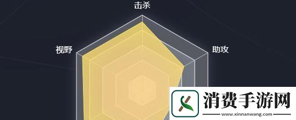 英雄联盟选手六芒星图怎么看