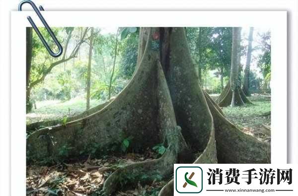 哈啊身体怎么变得越来越奇怪了