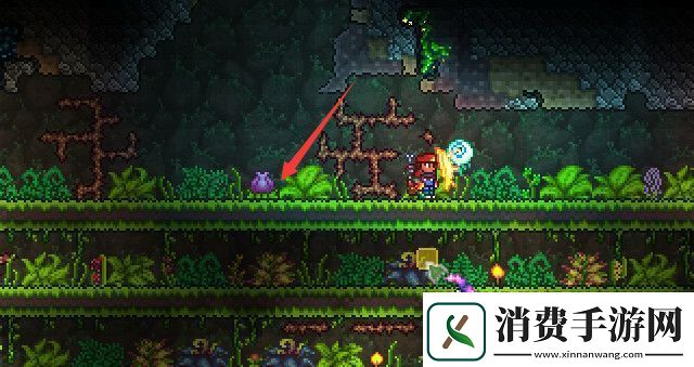 泰拉瑞亚花苞快速生成方法