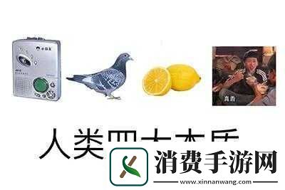 人类大本质是什么