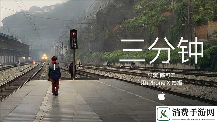 “三分钟煮鹤”