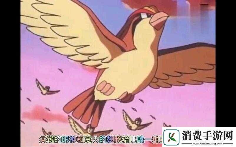 宝可梦大师比雕实力与新精灵玩法技巧