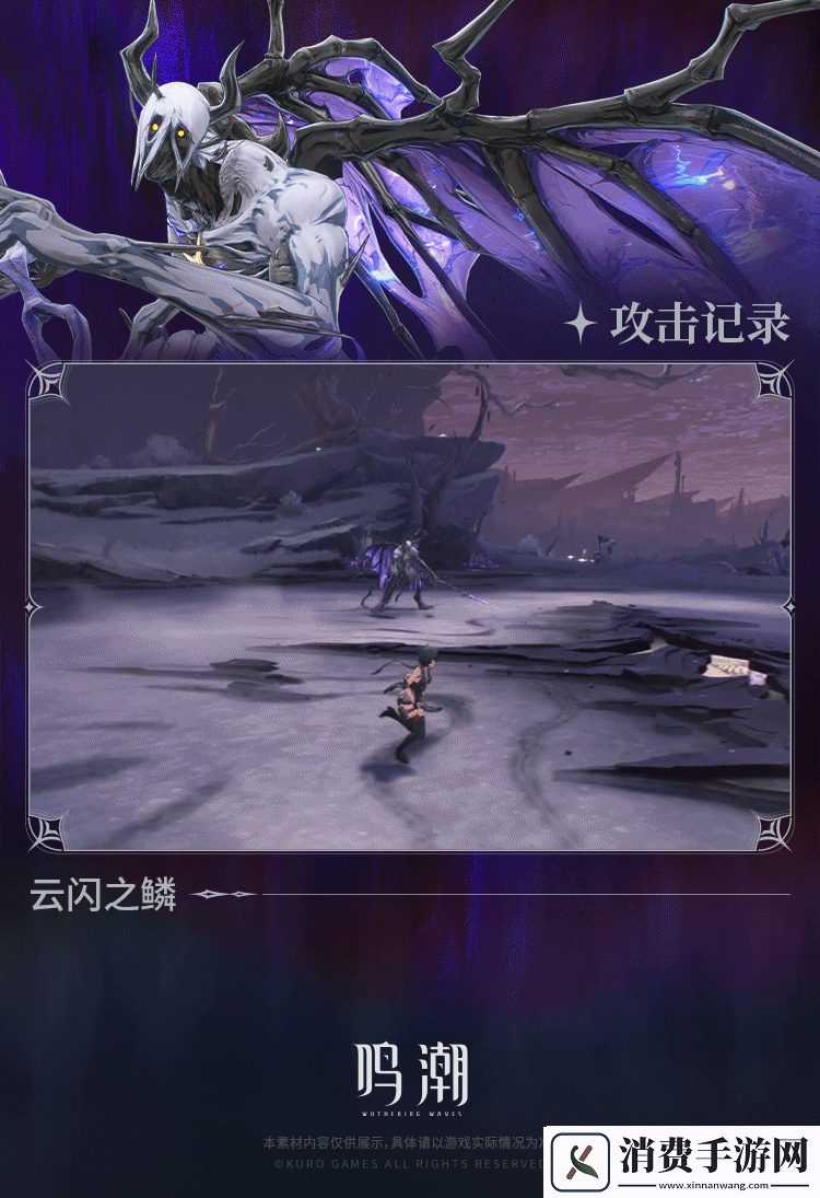 鸣潮寰宇人类注疏