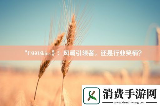 “CSGOSkins