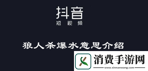 狼人杀中爆水的含义解释