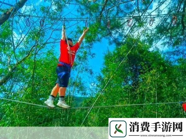 手从小腹一路开到丛林处从小腹到丛林的探险之旅