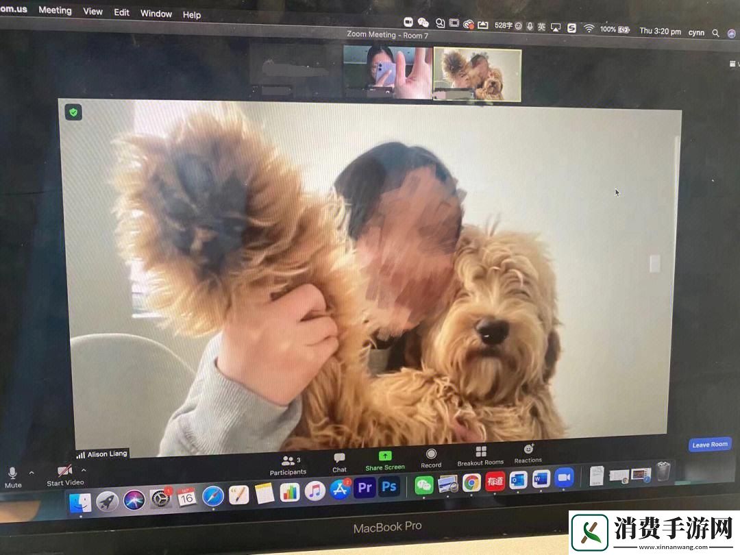 “人类版ZOOM大戏