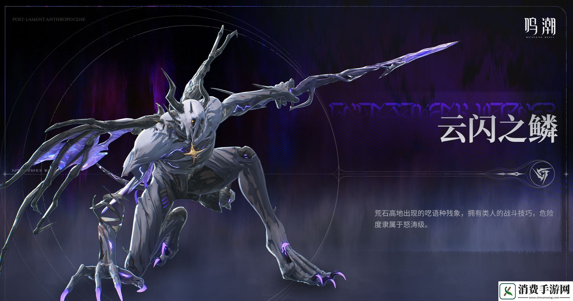 鸣潮寰宇人类注疏