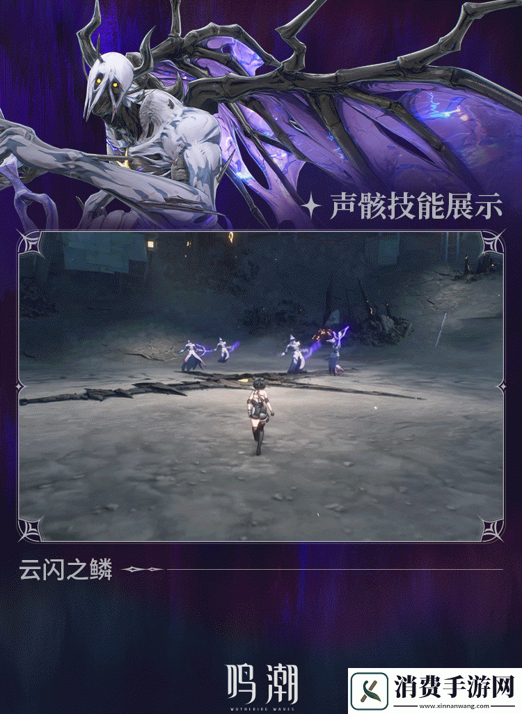 鸣潮寰宇人类注疏